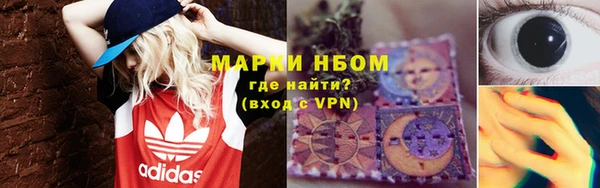 PSILOCYBIN Белокуриха