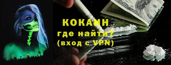 PSILOCYBIN Белокуриха