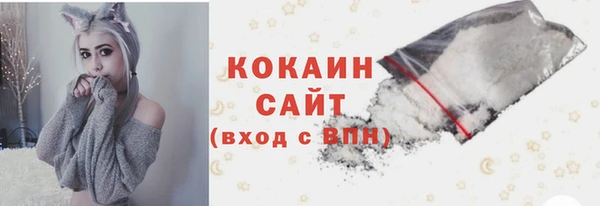 PSILOCYBIN Белокуриха