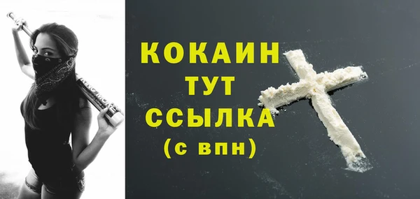 дживик Белоозёрский