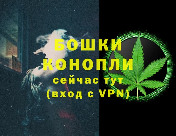 PSILOCYBIN Белокуриха
